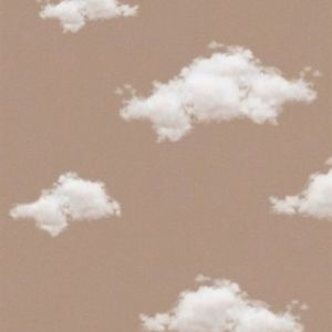 Meet your Posher, Kale